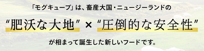 ���O�L���[�u���T�C�g