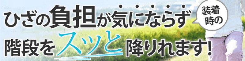 ���t���[�� �C���\�[�����T�C�g