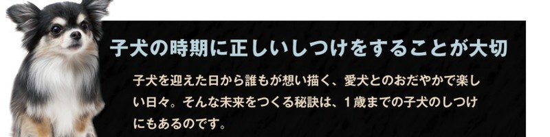 �����ʂ��Ă��Տ��T�C�g